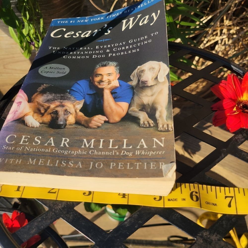 Cesar Millan Book‎ - Picture 4 of 8